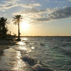 Дмитрий Мамонов, 21.05.1983, Минск