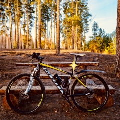 Александр Вшивков, 19.10, Курган