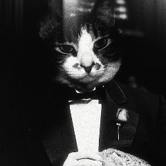 Юра Белоцерковский, 12.07, Воронеж