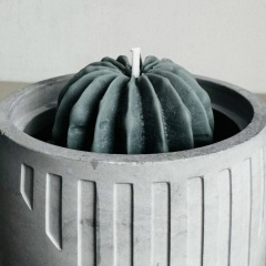 Оксана Шведас, Жабинка