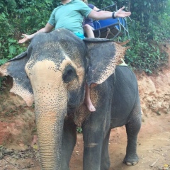 Андрей Грачев, 14.11.1941, Одесса