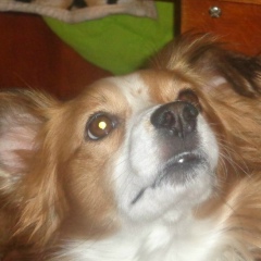 Алёна Червова, 31.01.1996, Семей