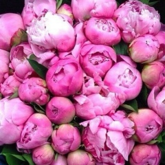 Марина Солодий, 11.04.1989