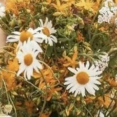 Галия Бяширова, 28.04