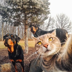 Виктор Кульков, 25.12, Санкт-Петербург