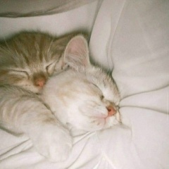 Sabina Yeleuken, 04.03, Amsterdam