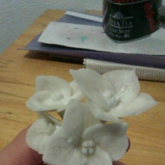 Shahnoza Taburova, 19.11.1986, Тараз