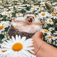 Томочка Валуева, 22.03.1991, Железногорск-Илимский