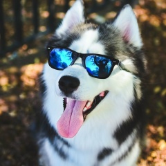 Ульмес Насанов, Магнитогорск