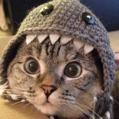 Аюб Умаров, 22.01.2008, Los Angeles