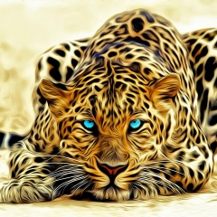 Ma Grishina, 06.12, Санкт-Петербург