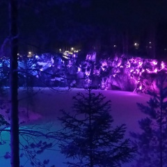 Андрей Токан, 06.01, Санкт-Петербург