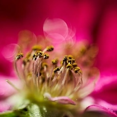 Вера Стоякина, 18.11, Домодедово