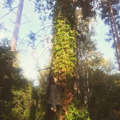 Динара Расылхан, 04.08.1994, Кордай