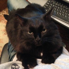 Александр Бодров, 27.02.1986, Москва