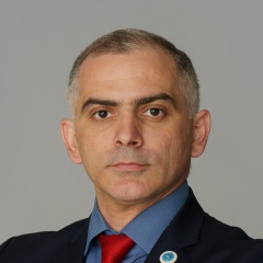 Петрос Микаелян, Воронеж