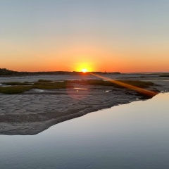 Ольга Фузайлова, 01.08