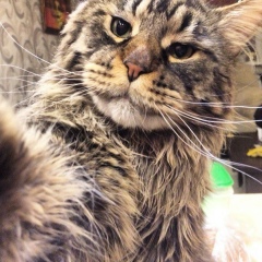 Игорь Сорокин, 19.09.1984, Казань