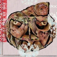 Максим Забахтурин, 02.06