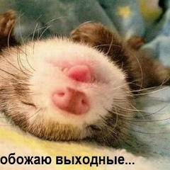 Магомед Гаджиев, 13.04.1990, Махачкала