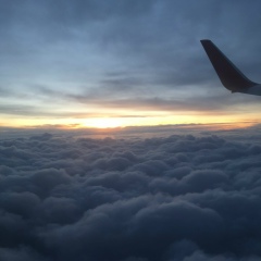 Марат Муртазалиев, 17.06