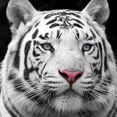 Денис Пондин, 16.06, Ульяновск