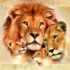 Александр Горевой, 09.06.1987, Новосибирск