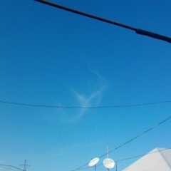 Murad Rzayev, 29.04.1996, Шамкир