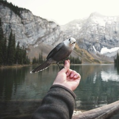 Андрей Маринин, 08.06, Самара