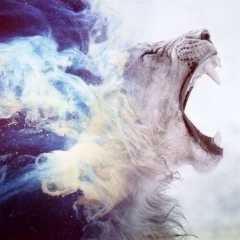 Алик Ярый, 23.05, Москва