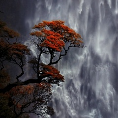 Александр Ульдинович, Волковыск