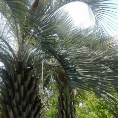 Андрей Щукин, 25.03.1988, Бийск