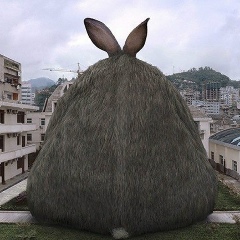 Сергей Кольцов, 15.09.1988, Новосибирск