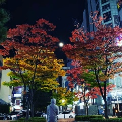 Konstantin Kim, 22.11, Siheung