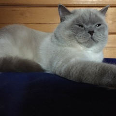 Марина Пащанина, 16.07.1984, Москва