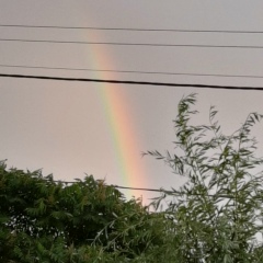 Жадыра Есенкулова, 28.01, Алматы