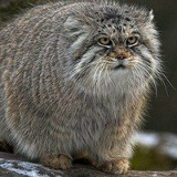 Александр Бутягин, 12.10.1971, Санкт-Петербург