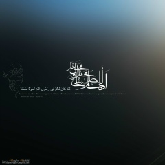 Илдус Биккинин, 04.08