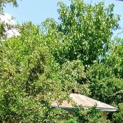 Шухратхон Калонов, 28.02.1986, Москва