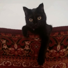 Светлана Хузеева, 27.05, Семей