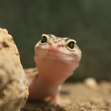 Пётр Пупкин, 01.04.1990, Москва