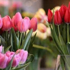 Umm Zainab, 02.02.2007