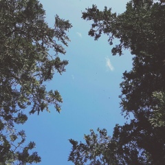 Френки Рандаял, 30.05.1997, Грозный