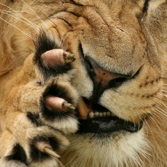 Максим Юрич, 16.08, Санкт-Петербург