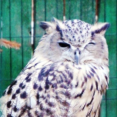 Любовь , 05.08, Санкт-Петербург