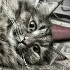 Иван Герон, 24.04.1992, Киев