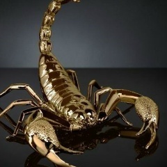 Денис Асташов, 04.11.1987, Москва