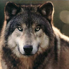 Яна Матвеева, 05.01.1994, Астана