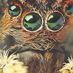 Евгений Демидович, 27.06.1987, Минск