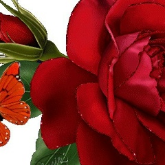 Мила Умаева, 23.12.1990